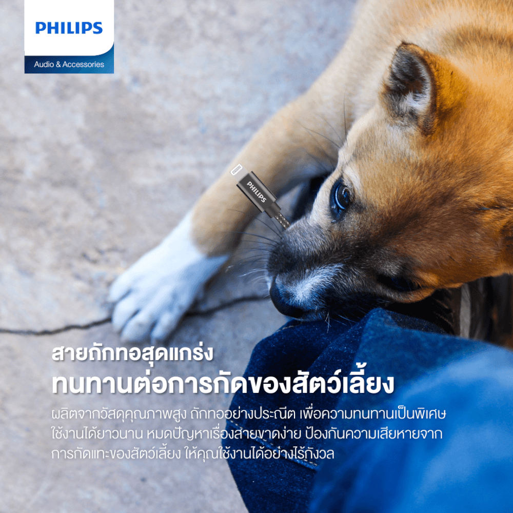 สายชาร์จ PHILIPS รุ่น DLC5030V/00 USB-A TO LIGHTNING สีดำ